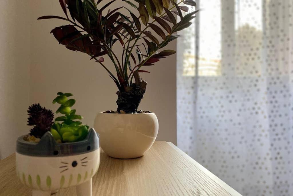 Central Modern Apartment Rome -Locazione Turistica- Ngoại thất bức ảnh